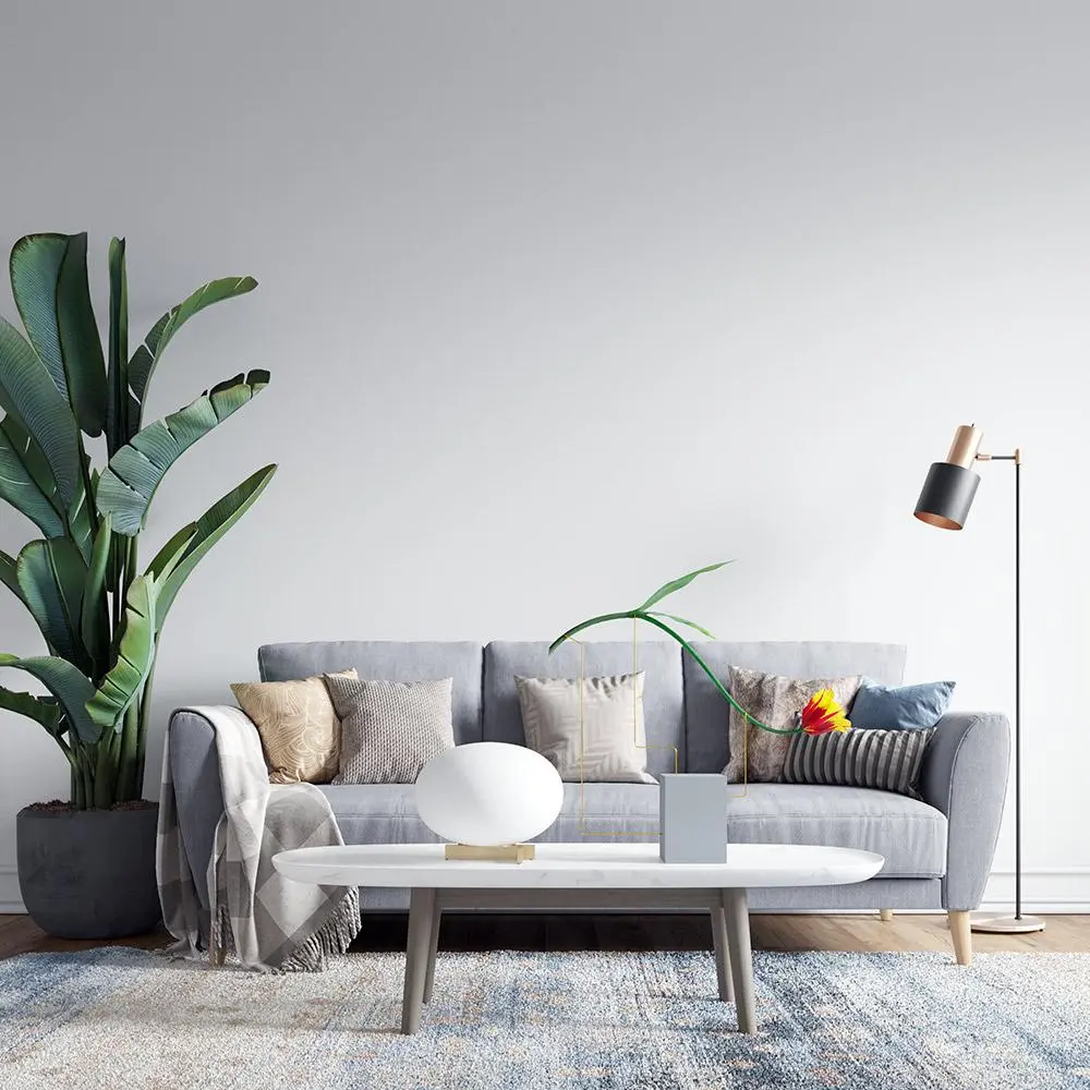 grey couch coffee table rug light background