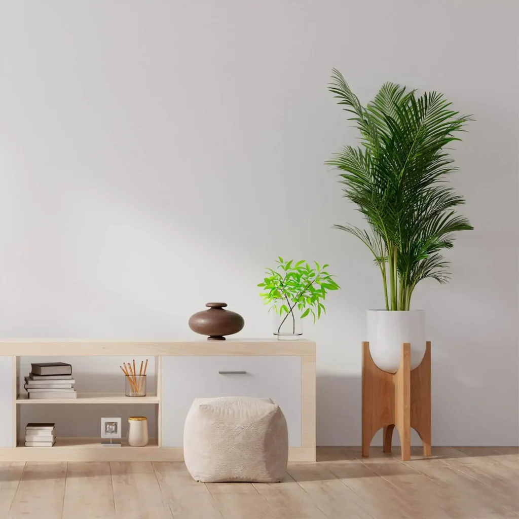 light background light wooden floor bookshelf